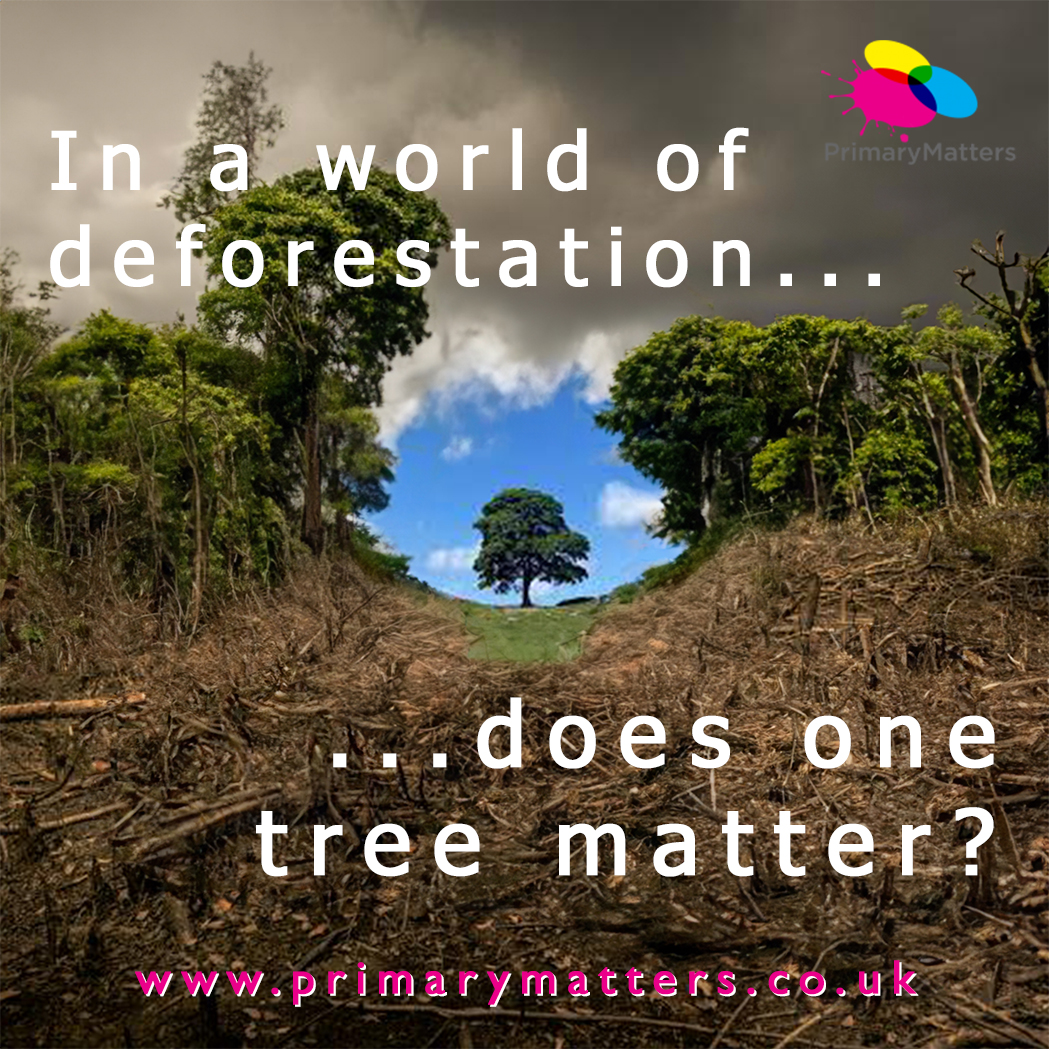 We lose about 27 soccer fields of forest a minute - does the felling of one tree really matter?
Yes!
We need to teach our children the value of preserving the environment.
#primarymatters develops school curriculums that do exactly that.
#headteacher #deforestation #sycamoregap