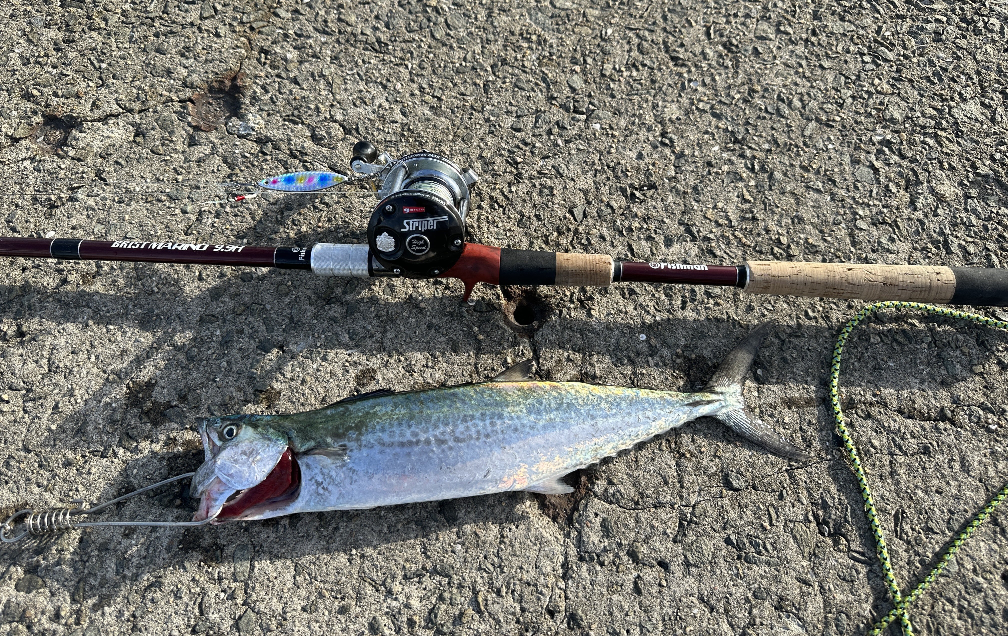 Angler / Hazuki | 沖縄GTキャスティング🏝️ このサイズのGT