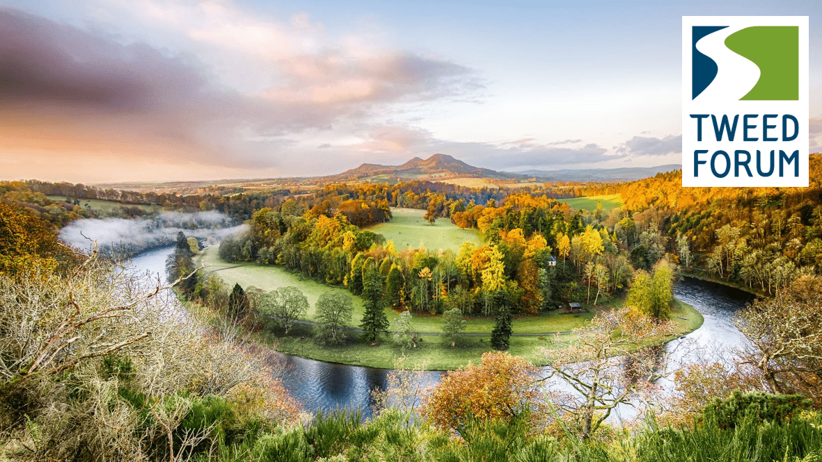 Tweed Forum tweet media
