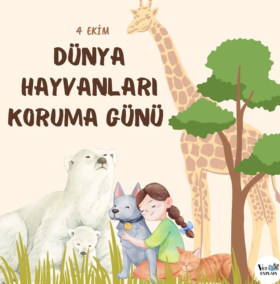 4 Ekim Dünya Hayvanları Koruma Günü Kutlu Olsun 🎉
#vetmed #veteriner #veterinerhekim
#hayvanhakları #hak #koruma #hayvansevgisi #4ekim #teksağlık
#HayvanlarıKorumaGünü