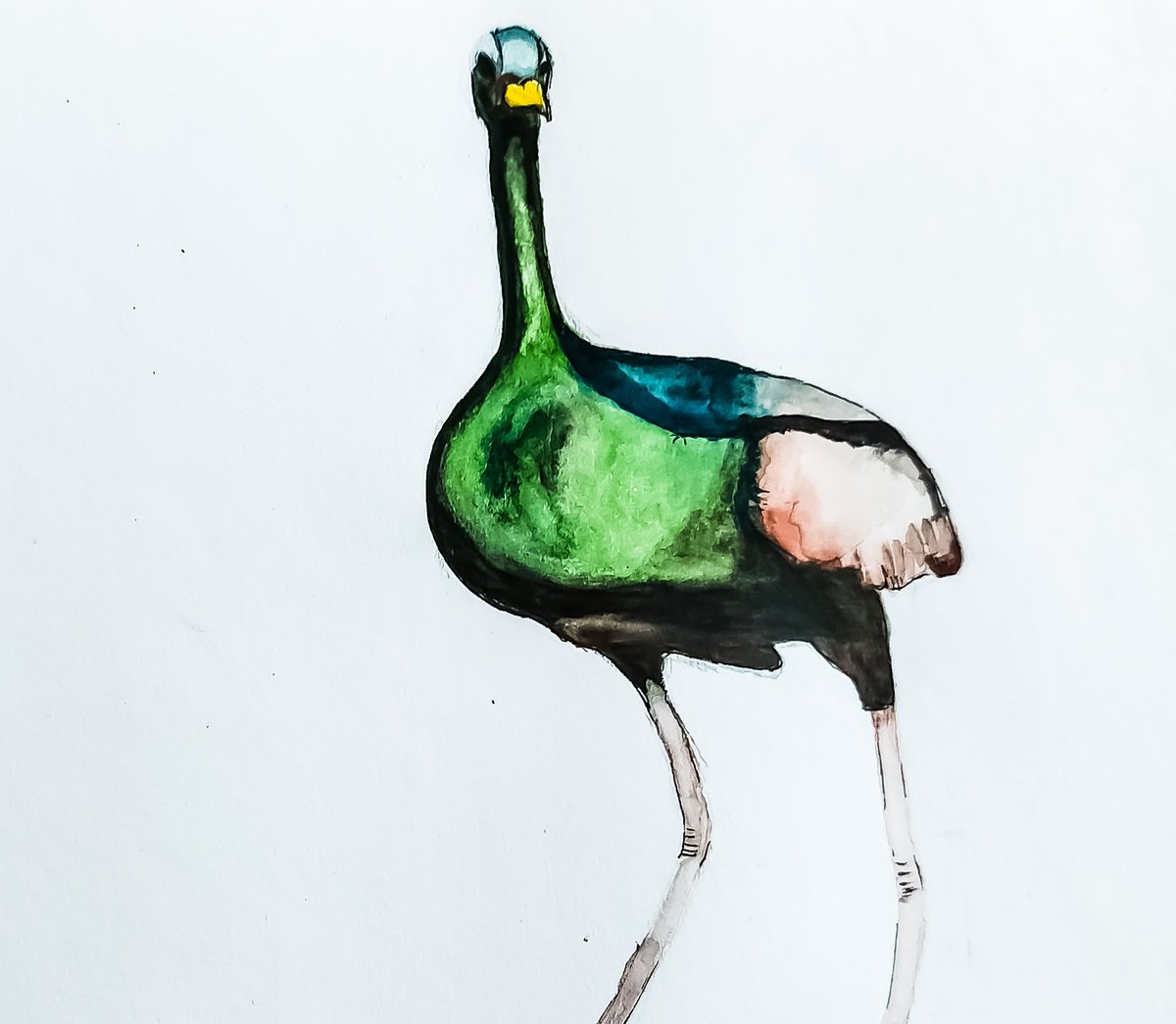 A failed attempt🙁
#birds  #watercolorpainting #birdstudy #art #BirdsOfTwitter