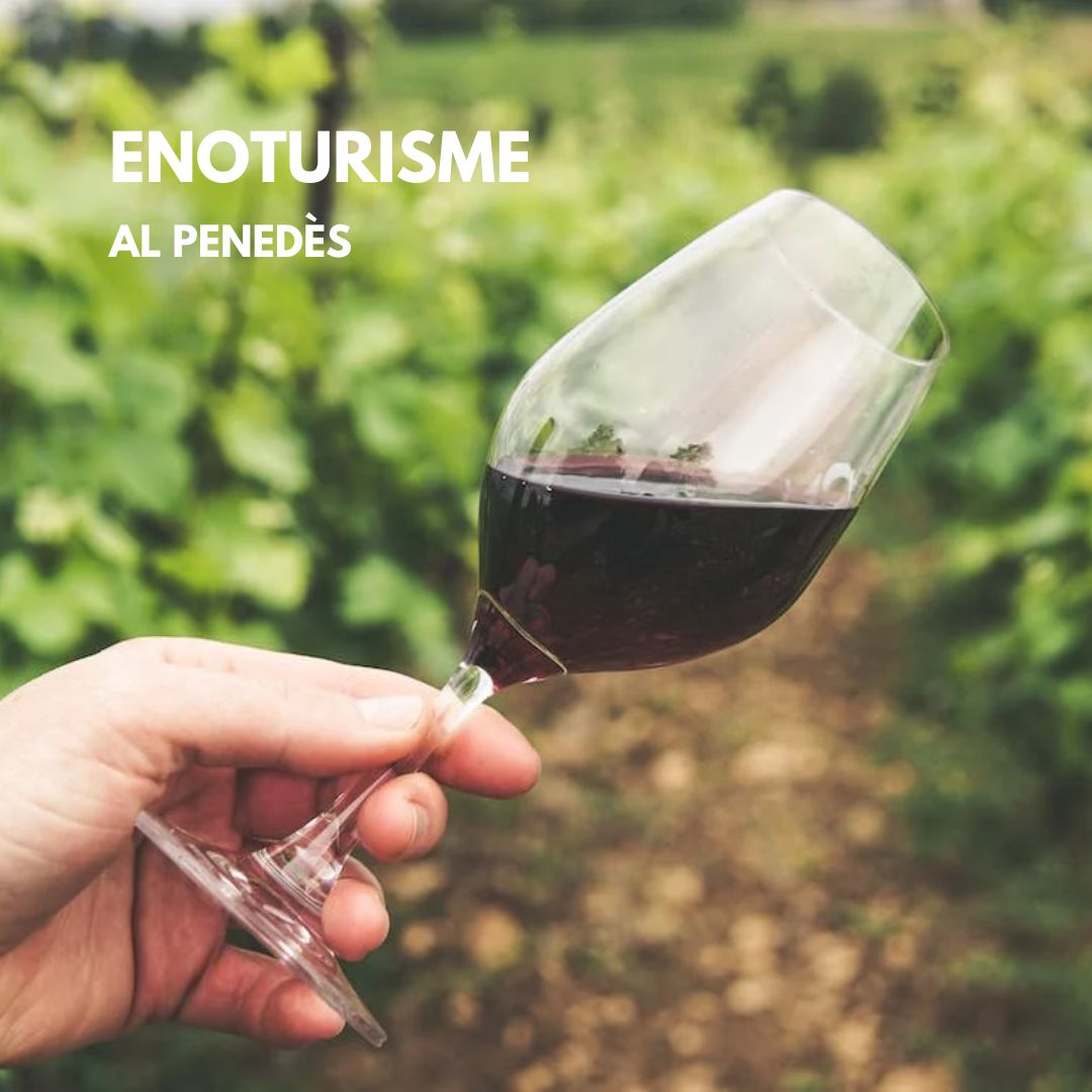 📅 No saps què fer al pont d'octubre? A #Calafell et deixem les millors propostes!

👉 Vinguis sol, en parella, en família o amb amics, troba l'activitat perfecta!

📌Tota la informació sobre enoturisme, rutes a Calafell i les portes obertes de patrimoni a visit.calafell.cat