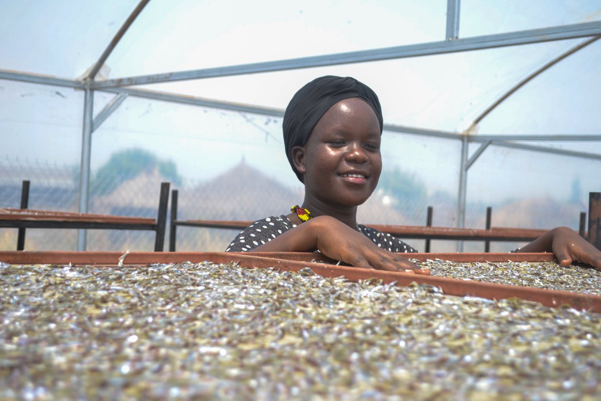 #Financing was a key challenge for #CultiAF projects

Beneficiaries needed access to credit to afford project tech📳
AND training in business skills to be considered for loans 

Other key learnings? Follow the🔗bit.ly/3LJJX7d