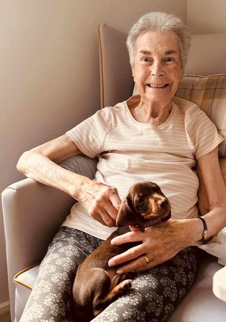 At St Mary's Riverside Care Home in #Hessle, a typical day turned into something truly special when the soft pitter-patter of paws graced the corridors. Milo, the itsy-bitsy dog with a huge personality had our residents chuckling and queuing up for a cuddle!
#carehomes