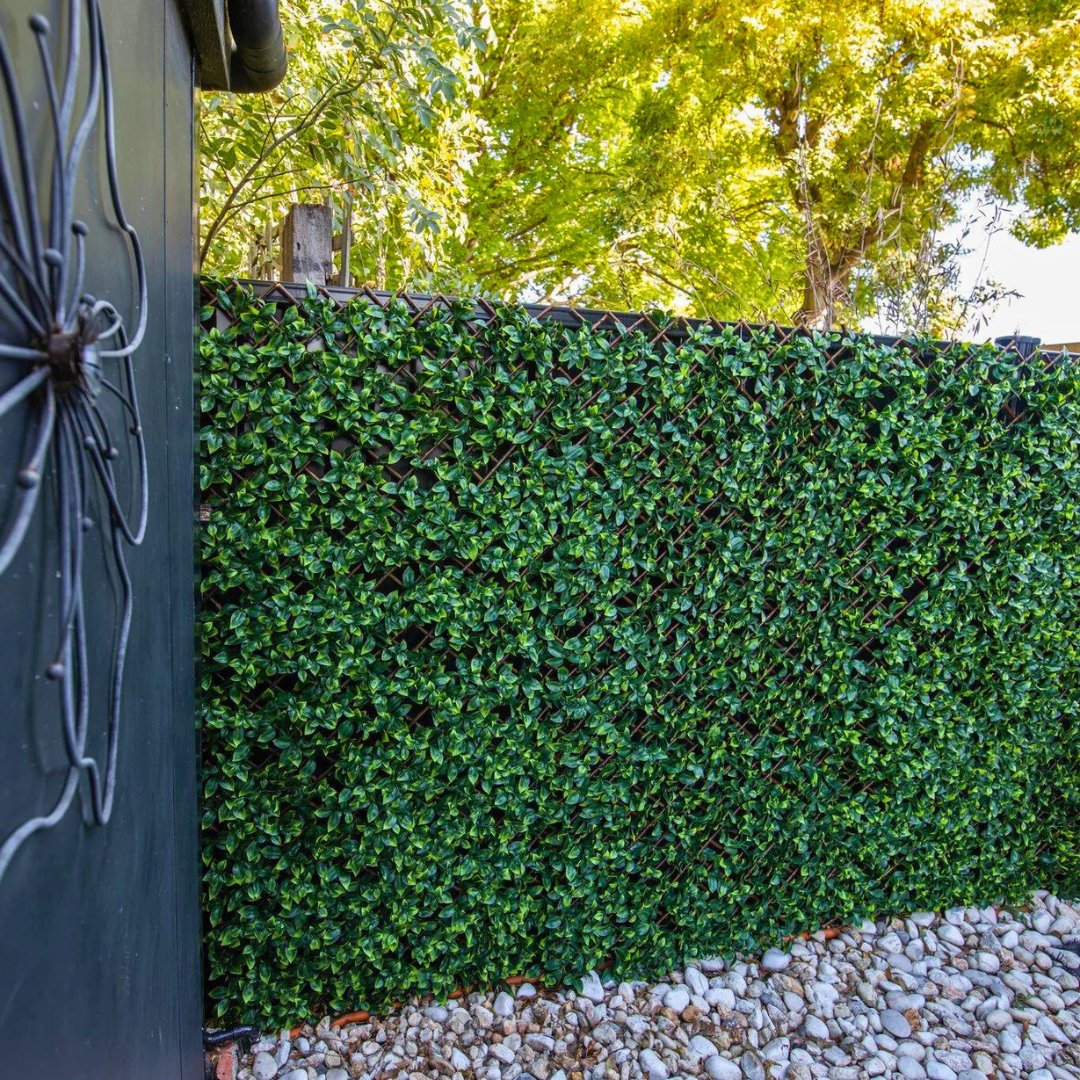 LMGreenFrance's tweet photo. Laissez-vous séduire par notre treillis extensible feuilles de laurier amande 💚

Choisir de l’artificiel pour vos clients, c’est leur assurer des espaces verdoyants tout au long de l’année sans les contraintes de l’arrosage ou de l’entretien 👌🌿

#francegreen #lmgreen https://t.co/zjAQXp2S52
