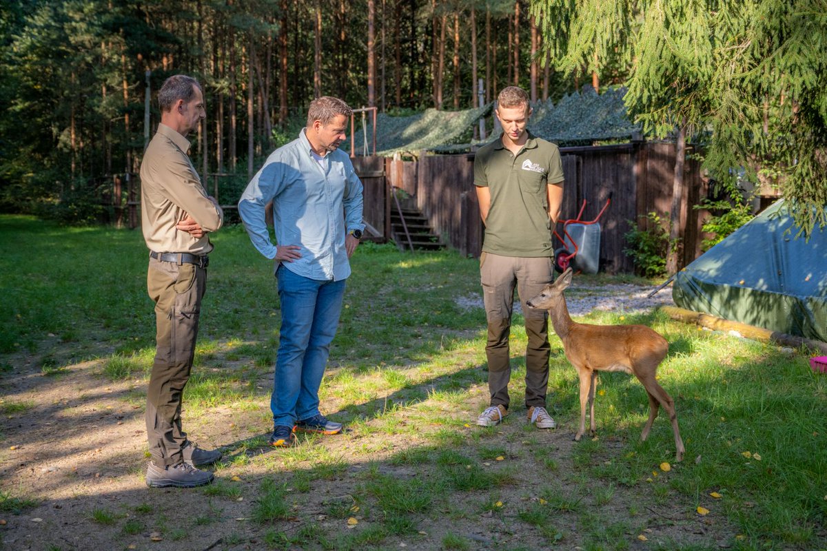 warszawa's tweet photo. Działa w stolicy od 15 lat i w tym czasie udzielił pomocy około 12 tysiącom dzikich zwierząt – chorym, rannym i osieroconym. To Ośrodek Rehabilitacji Zwierząt w Lesie Sobieskiego, prowadzony przez @LasyMiejskie. https://t.co/Sil1vlzBRp #StolicaZieleni https://t.co/097lNy5DBi