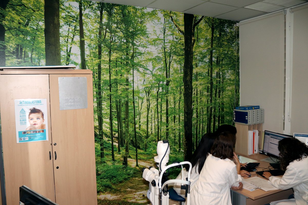 Hospital Virgen Macarena tweet media