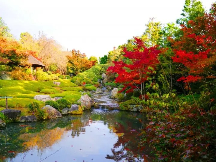 MATCHA_global's tweet photo. A sweet, blissful meditation experience in #Kyoto. Relish in Japanese sweets and tea while gazing out onto a Japanese garden after a 7-minute meditation at #Taizoin Temple😊
https://t.co/9vCaOMAccT https://t.co/QbkeRDJbFF
