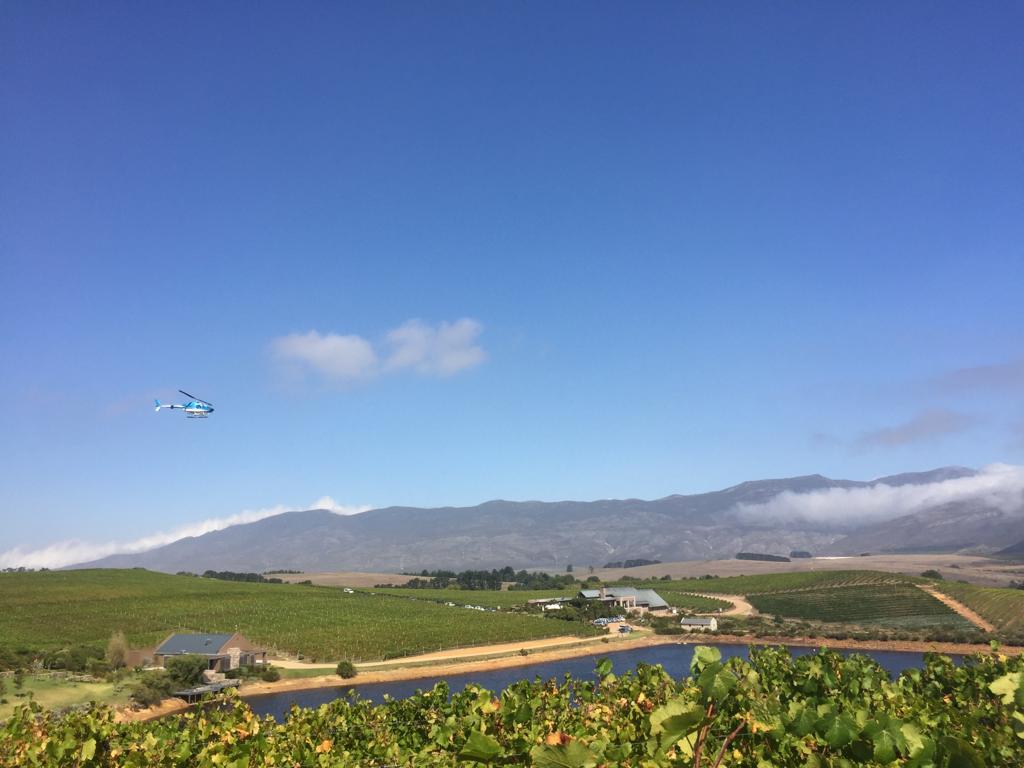 Carolyn Martin tweet media