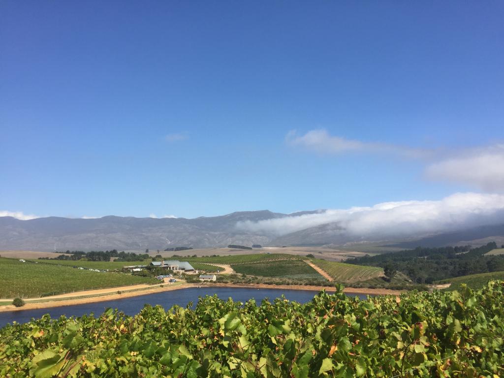 Carolyn Martin tweet media