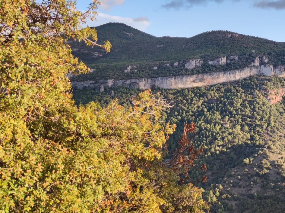 ctforestal's tweet photo. 🤝Signem conveni amb @Nactiva_eco per promoure la #bioconstrucció i la creació de #paisatges #resilients.
🗣️@ToniTrasobares "Aquesta col·laboració ha de permetre l’establiment de marcs públicoprivats per testar i escalar les solucions que desenvolupem a través de la #recerca" https://t.co/kK6m1RCAtk