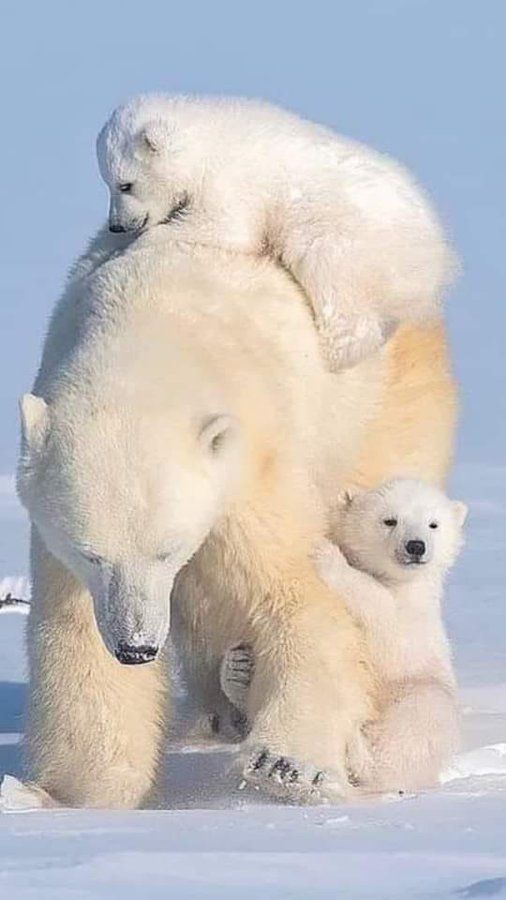 <a href="/DerekPa30582481/">Derek Paterson</a> Good morning Derek have a beautiful day 🍮🍰🌞🌿lovely photo
