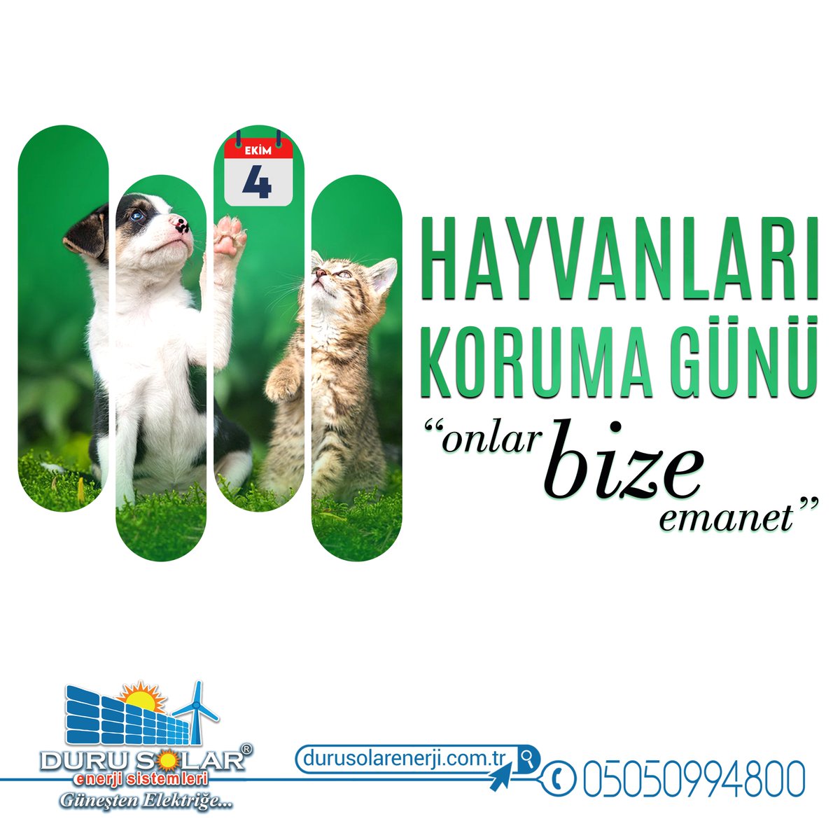 4 Ekim Hayvanları Koruma Günü - Onlar Bize Emanet.
#solarenerji #solarpanel #güneşpaneli #gunesenerjisi #çatıges #ges #enerji #solarenerji #offgrid #ongrid #photo #photography #hayvan #komikhayvanlar #kedi #köpek #sokakhayvanları #sokak