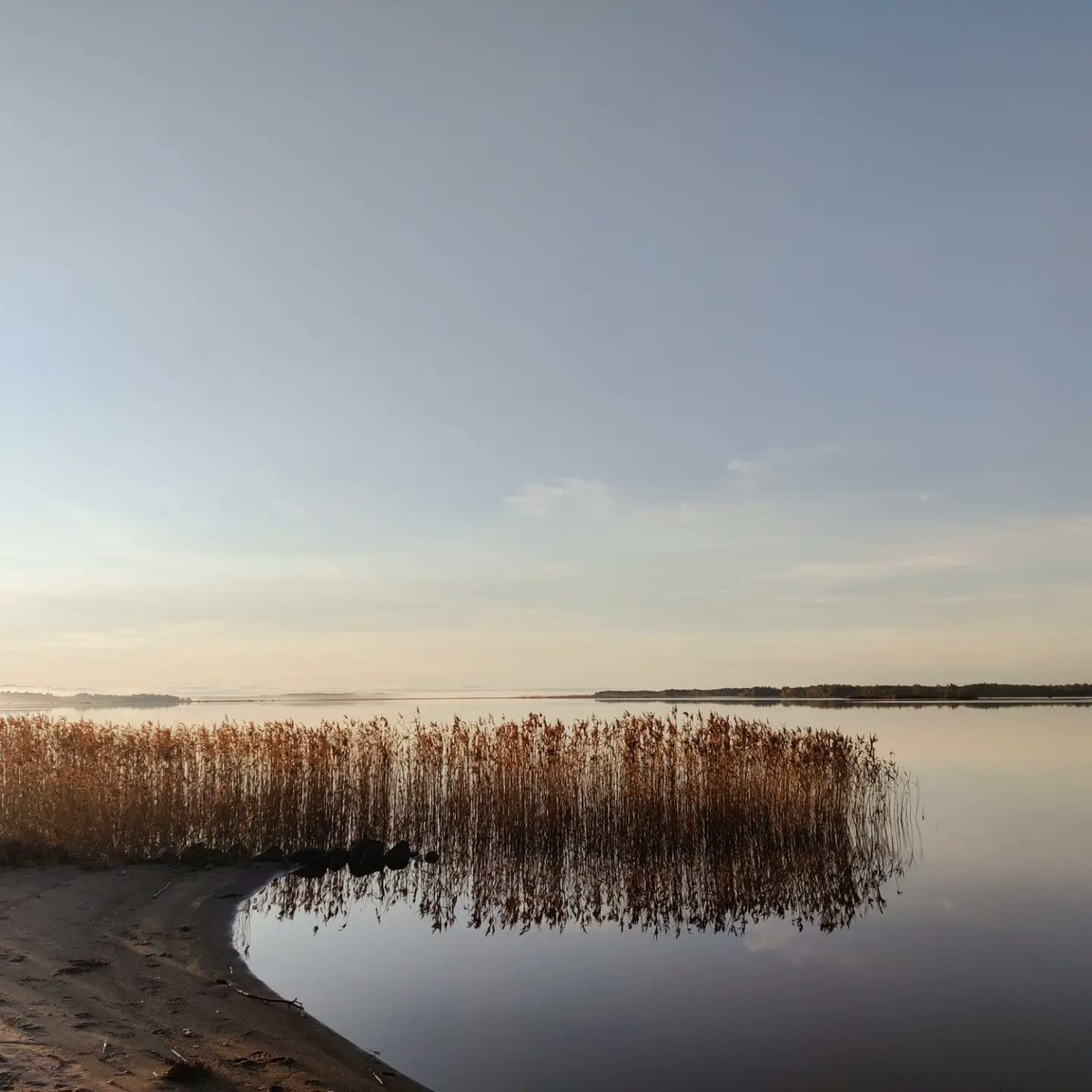 vertaistukea's tweet photo. 💛 #Vertaistervarit jalkautui eilen Vaasaan Järjestöt Pohjanmaan hyvinvointialueella -tapahtumassa.
✨ Uudet kasvot ja toiminta herättivät kiinnostusta.
✨ Saimme kutsun Vaasan valikkoryhmään.
✨ Aamulenkki merenrannalla. Puitteet kunnossa. #tyhy

#elintavat #vertaistuki #Vaasa https://t.co/dHSJxiiDlH