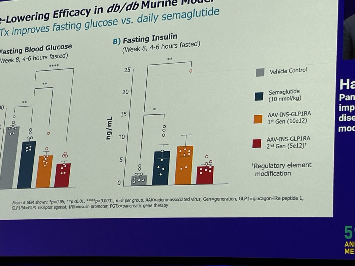 Hannah Beba tweet media