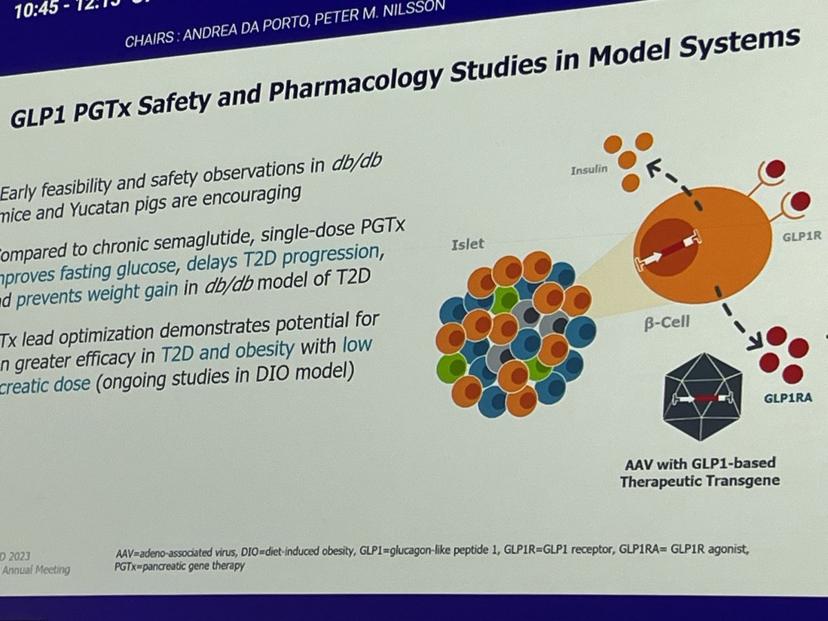 Hannah Beba tweet media