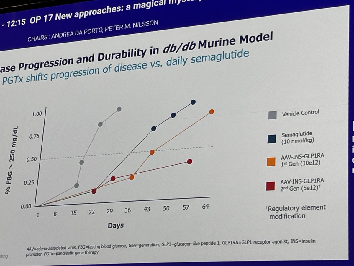 Hannah Beba tweet media