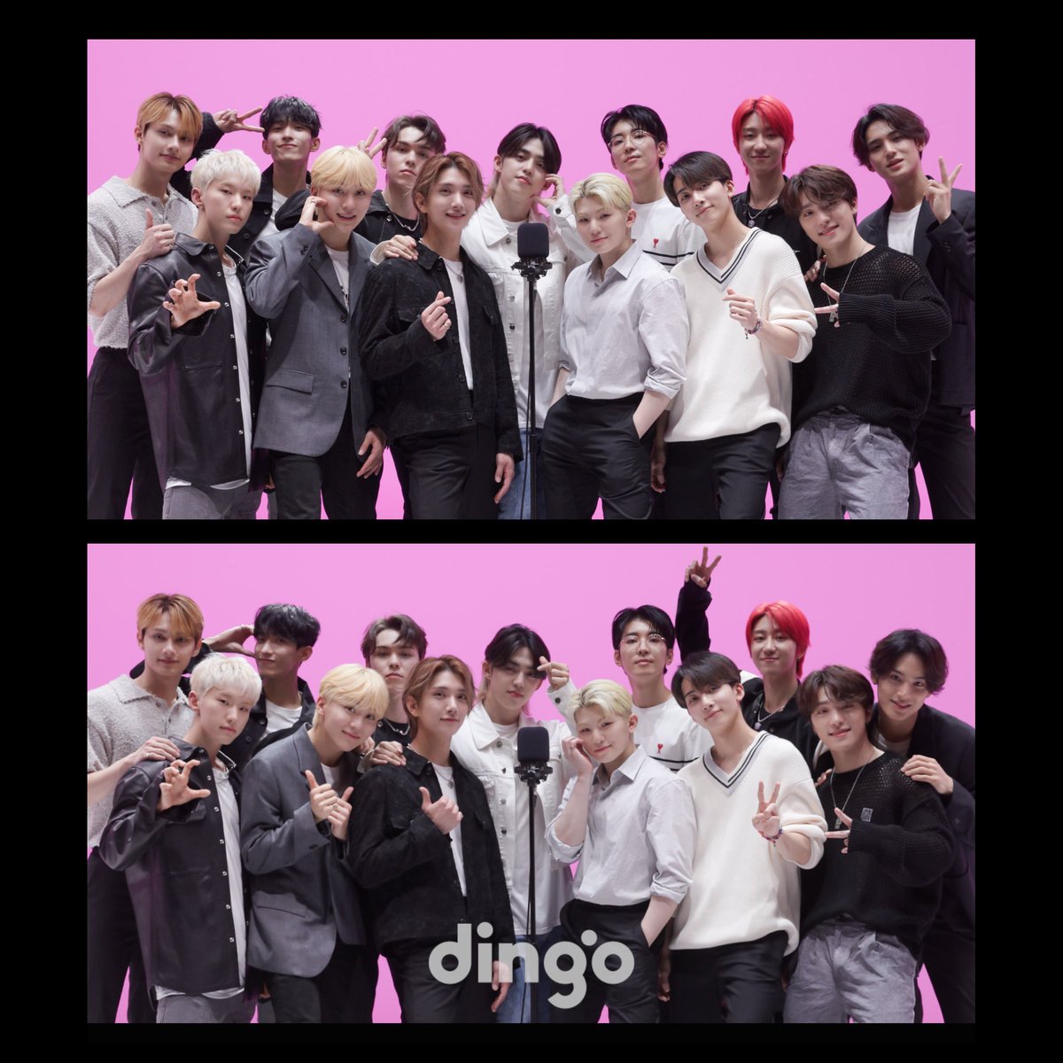 Worldwide Carats tweet media