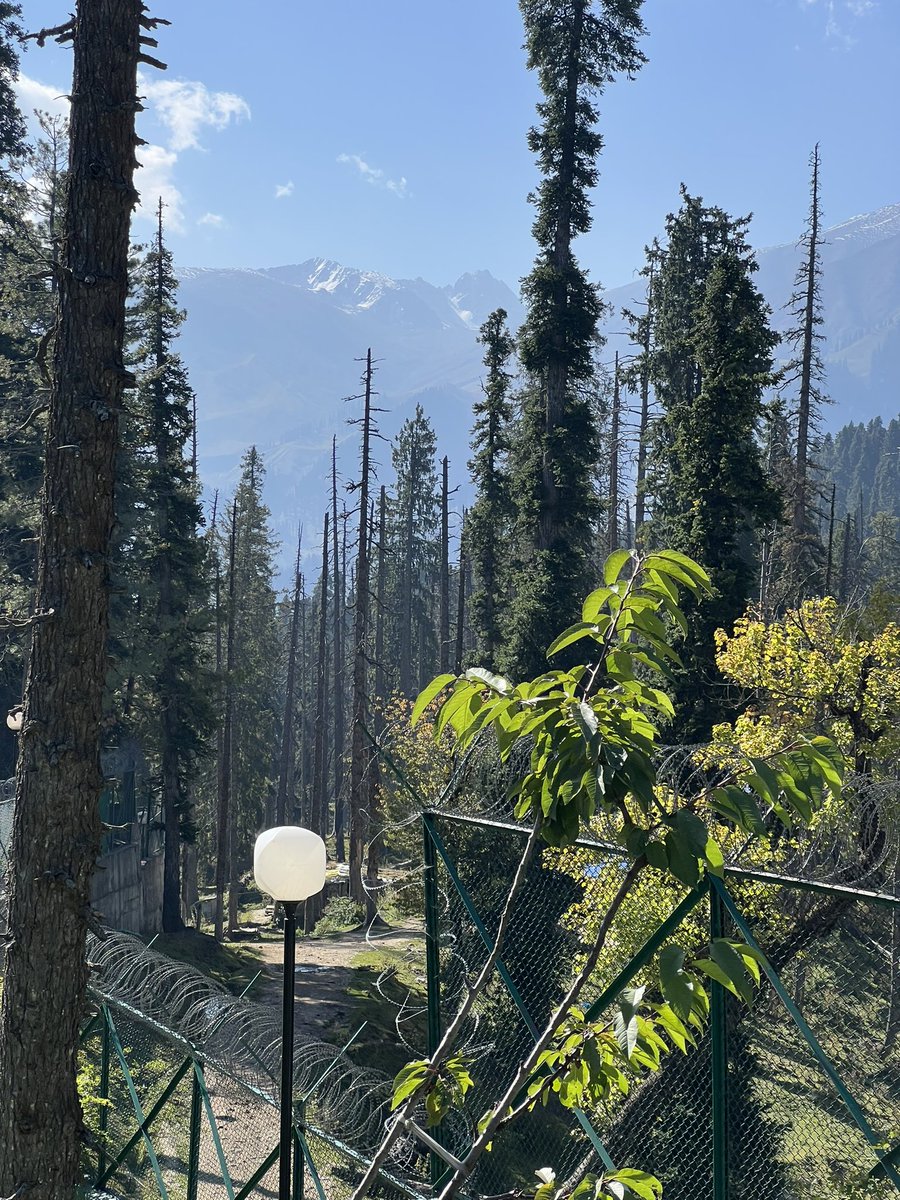 Just spent two days at the <a href="/khyberhimalayan/">The Khyber Resort</a> . The hotel is magnificent. What makes it stand out is the people and service. The best I have experienced anywhere in the world. That coupled with its location and facilities makes it outstanding. Will have to go back in winter.