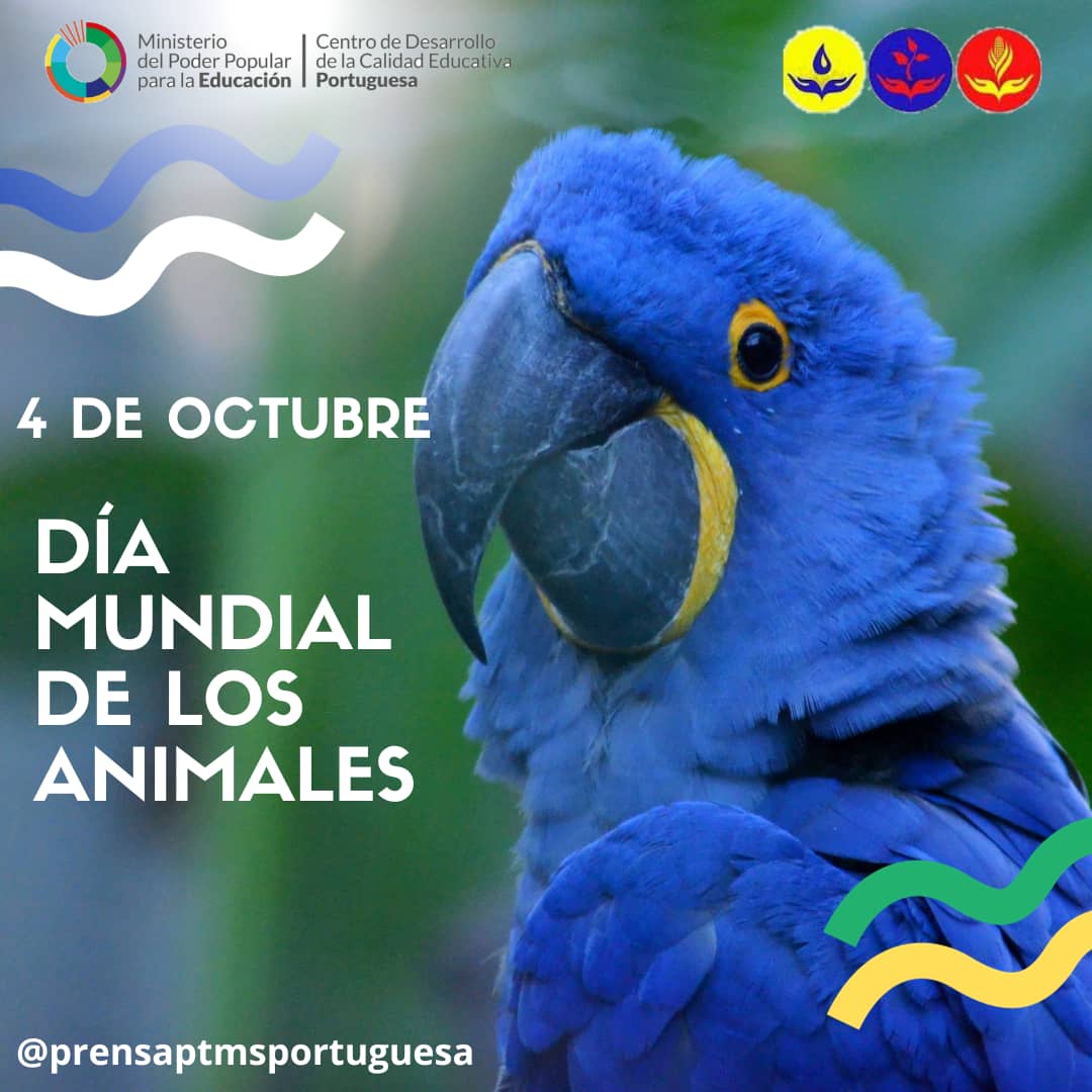 _Efemérides_ 

*El 4 de octubre se celebra el Día Mundial de los Animales*, una fecha promovida por la Organización Mundial de Protección Animal, con el objetivo de frenar la extinción de muchas especies.

#PtmsPortuguesa