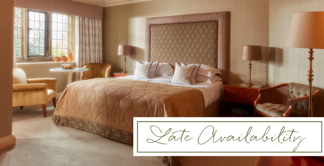 Mallory Court tweet media