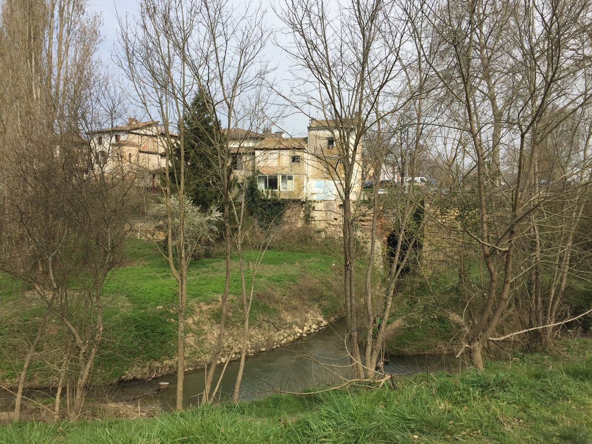 LealRomain2's tweet photo. Si la #grise couverture
Peine à #masquer la #triomphante #verdure,
Pourquoi le #passant #harassé
Devrait #voiler ses #yeux devant une telle #réalité ?
#trees #arbres #water #eau #greysky #cielgris #nature #nature #naturephotography #naturelovers #Serenity #Marmande #France https://t.co/PkJNubQnBs