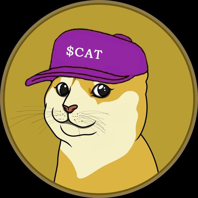 pepeXglobal's tweet photo. @pcastagnoli @catecoinerc20

 $CAT

X1000 Opportunity 
3 Major CEXs listed, ready to FLY
4th CEX coming
Caté beats Dogé
Dont Miss
Cate exchange under construction https://t.co/NI3JR5hK80