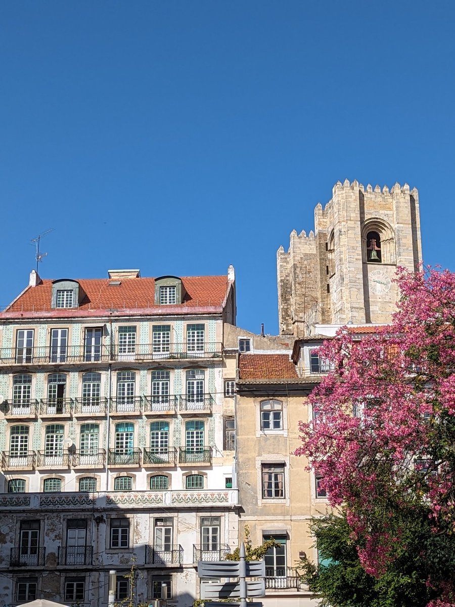 Dr. Michael Barnett-Cowan 🇨🇦 tweet media