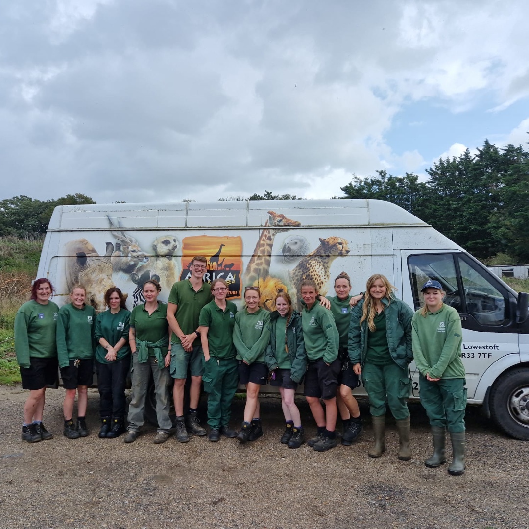 Happy #InternationalZookeeperDay 

Today, we celebrate our dedicated keepers at Africa Alive and Banham Zoo, who go above and beyond to care for our animals. 

We'd like to say a big thank you to them - we couldn’t do the work we do without them!