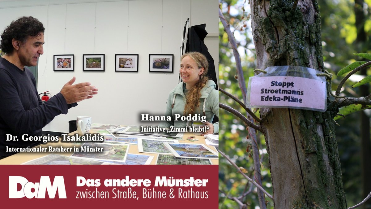 Muenstertube's tweet image. #Münster Stroetmann  will in #Kinderhaus "Zimmermannsches Wäldchen" für Edeka-Center roden. Ratsh. @Dr_Tsakalidis #RatMS spricht m. Hanna Poddig (Zimmi bleibt!") @MuensterKlima @Karottentorte @GAL_Muenster @spdmuenster  @fraktion_ms @linke_muenster 
youtu.be/33J-VZlKSqc