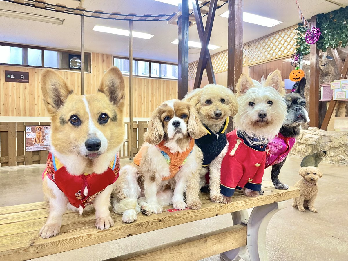 ♦️フォロワー様5000名様突破セール♦️ ♦️10/14終了‼️ ヤマダデンキ（Yamada - ついに最終！お急ぎください！ ／ エアコン