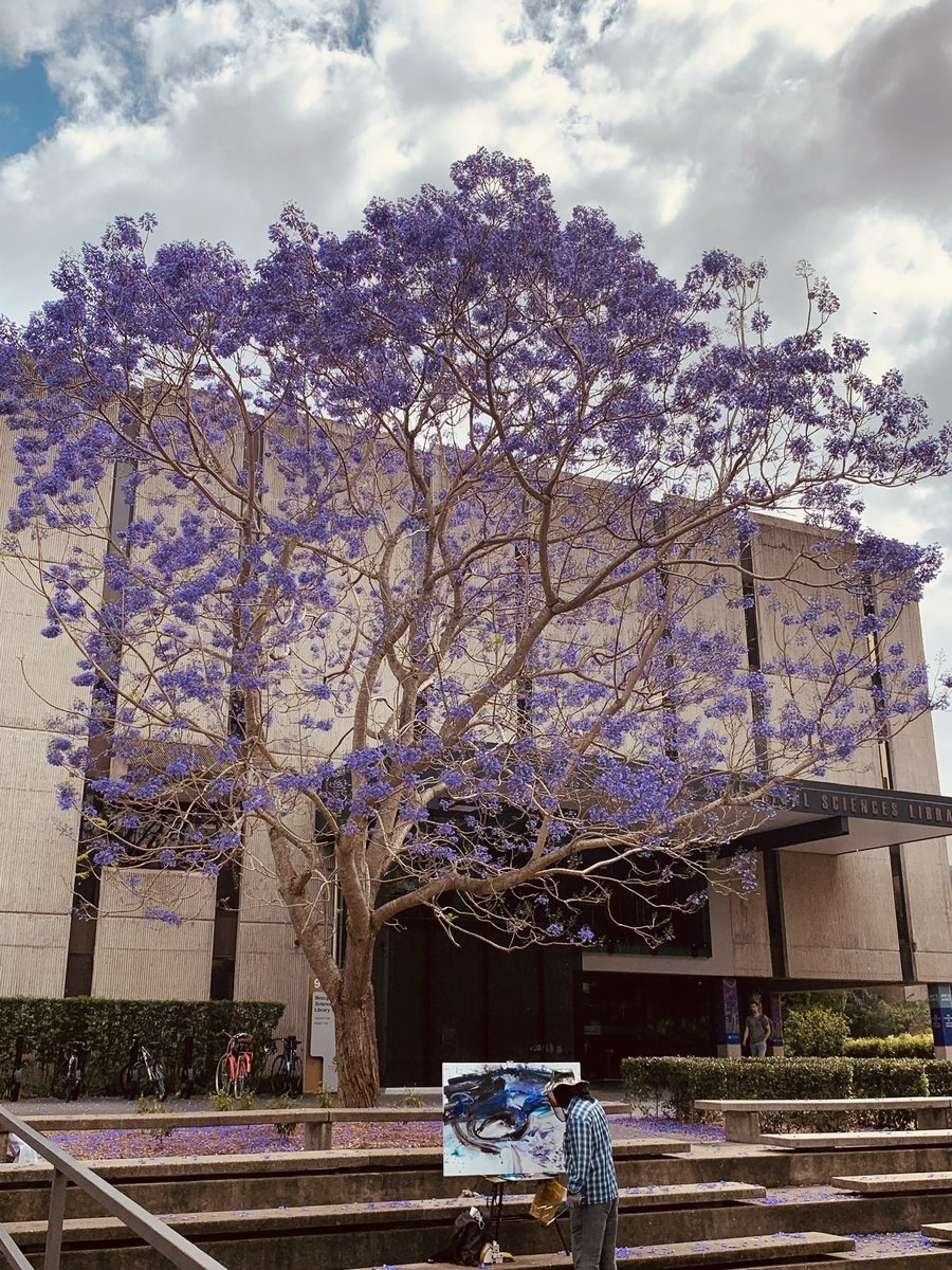 #Chill 
Stay away from red market to enjoy the beauty of nature…
😎The best photo i’ve took ever😎
#NatureBeautiful #enjoylife