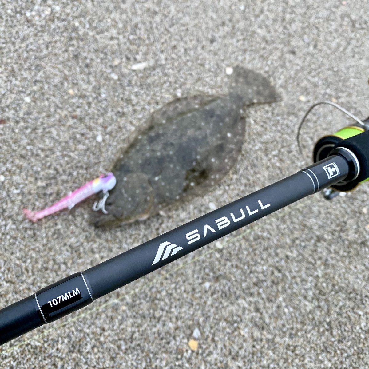 takumi_iga0119's tweet photo. 朝マズメ。
ワグシャッドでヒラメ3枚連発!
#jackall_shore_salt
#ワグシャッド
#sabull
#サブル
#県南サーフ
#仙南サーフ
#仙台サーフ https://t.co/LdpgGvxqU8