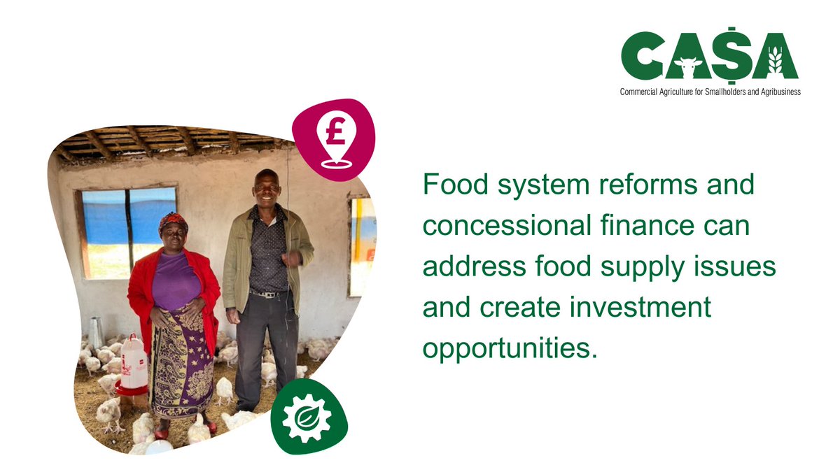 CasaProgramme's tweet image. Commercial investment opportunities and addressing food supply challenges are possible when governments commit to food system reforms and concessional finance is available.
 
Read the CASA Policy Brief 👉ow.ly/5RLy50PSuxB
#Foodsecurity
