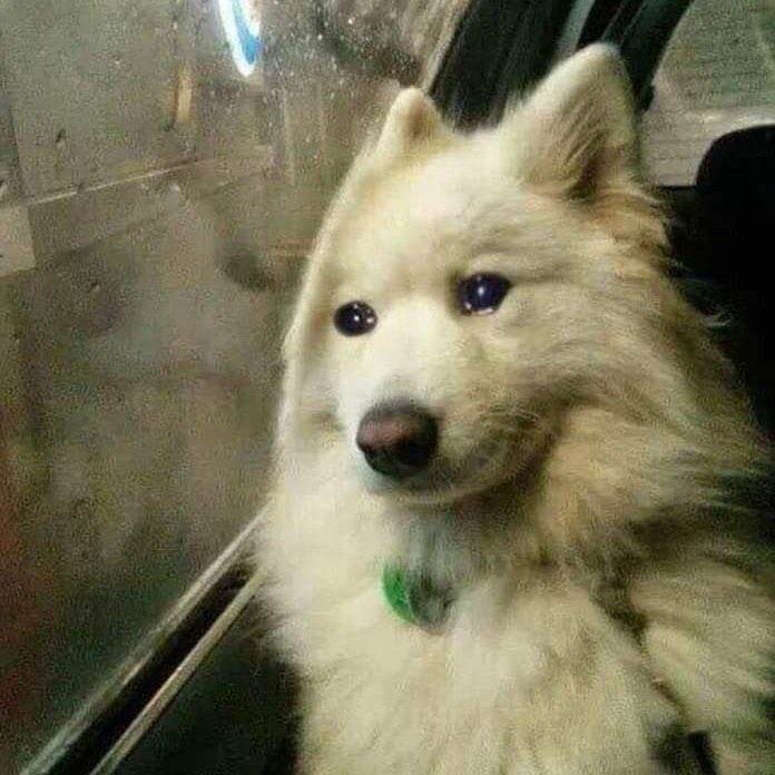 BOO 무릎 부상이라니…………………….개막하고서 바로 못 볼 수도 있다니……