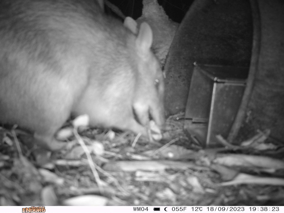 Dr Meg Edwards tweet media