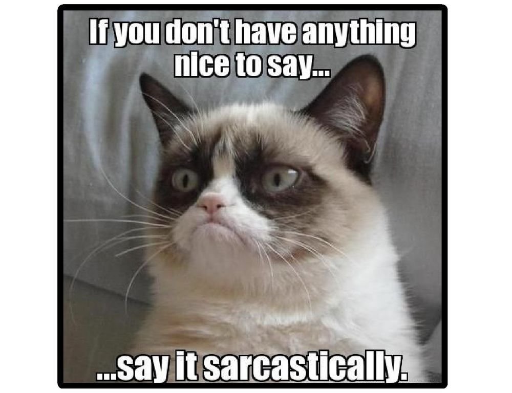 🐈 Katoshi Katamoto tweet media