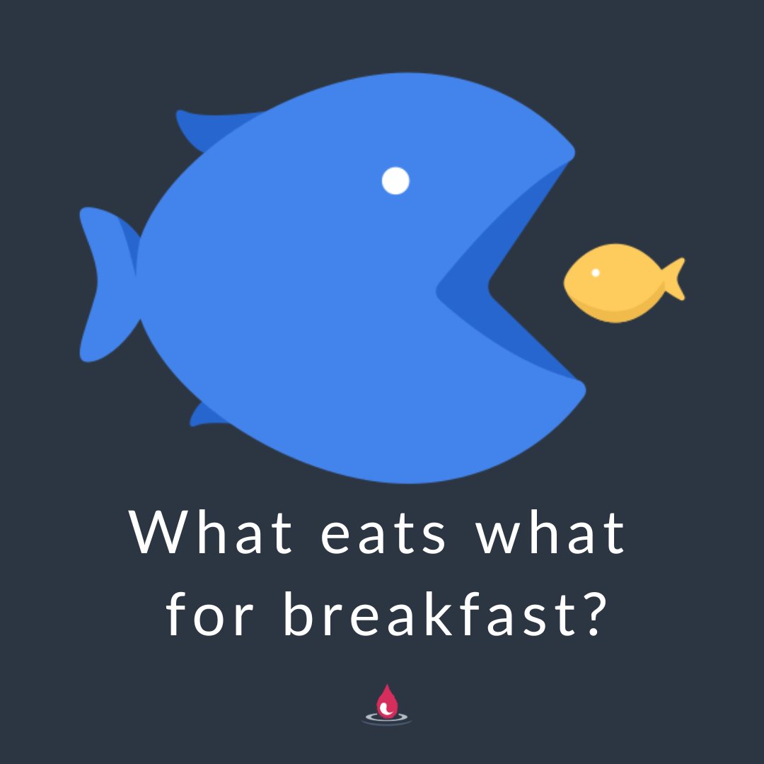 Do you remember Peter Drucker’s famous statement ‘culture eats strategy for breakfast’?

We’d love to hear what YOU think matters most: What do you think is the most important ingredient for success, and how do you enable and support it? Please share your thoughts in the comments