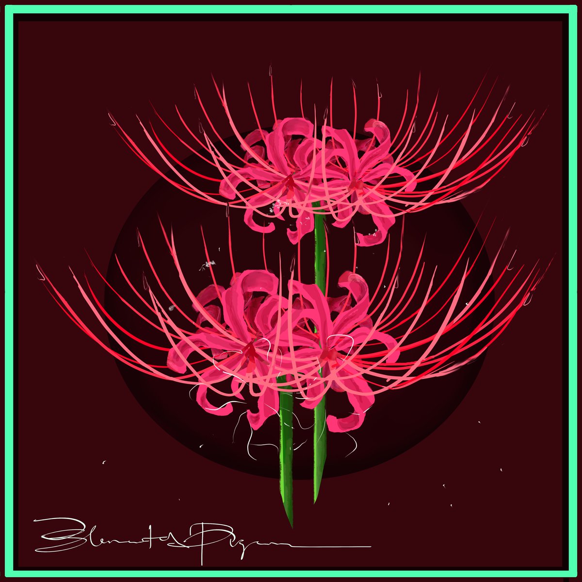 ElementalPigeon's tweet photo. Commission No. 2.3:
Convergence- Death.
#spiderlily #commissionart https://t.co/LaQ9ny9jKB