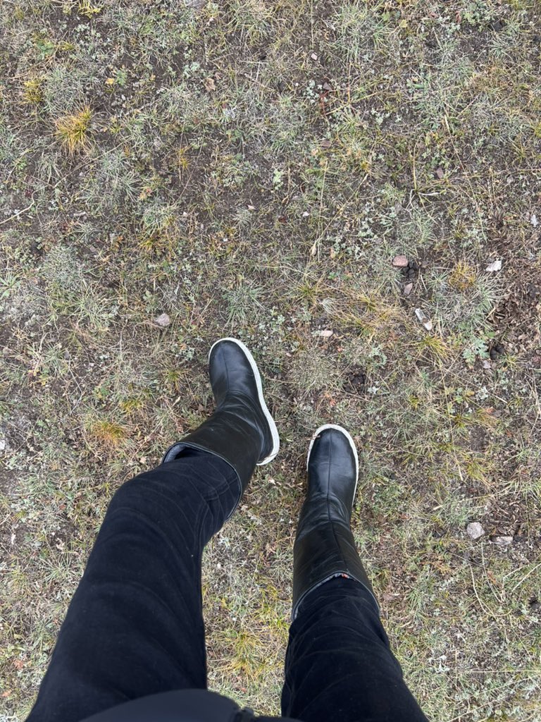 Намаржаандаа байгаа хот айл. Тогоогоо аваад л тогоо тавих юм. Сайхан шүү монгол ахуй. 
Завхан аймаг, Их уул сум