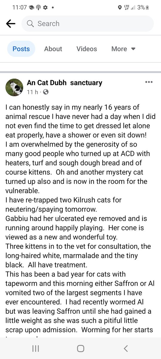 catlowry54's tweet photo. So when you don't #neuteryourcat, let me plant this image in your head:a lady in her 80s bottle feeding through the night. No time to rest or eat properly. These scenes replicated throughout the country. #humanup and stop putting people's health at risk because of your behaviour https://t.co/PyOxnFQpQO