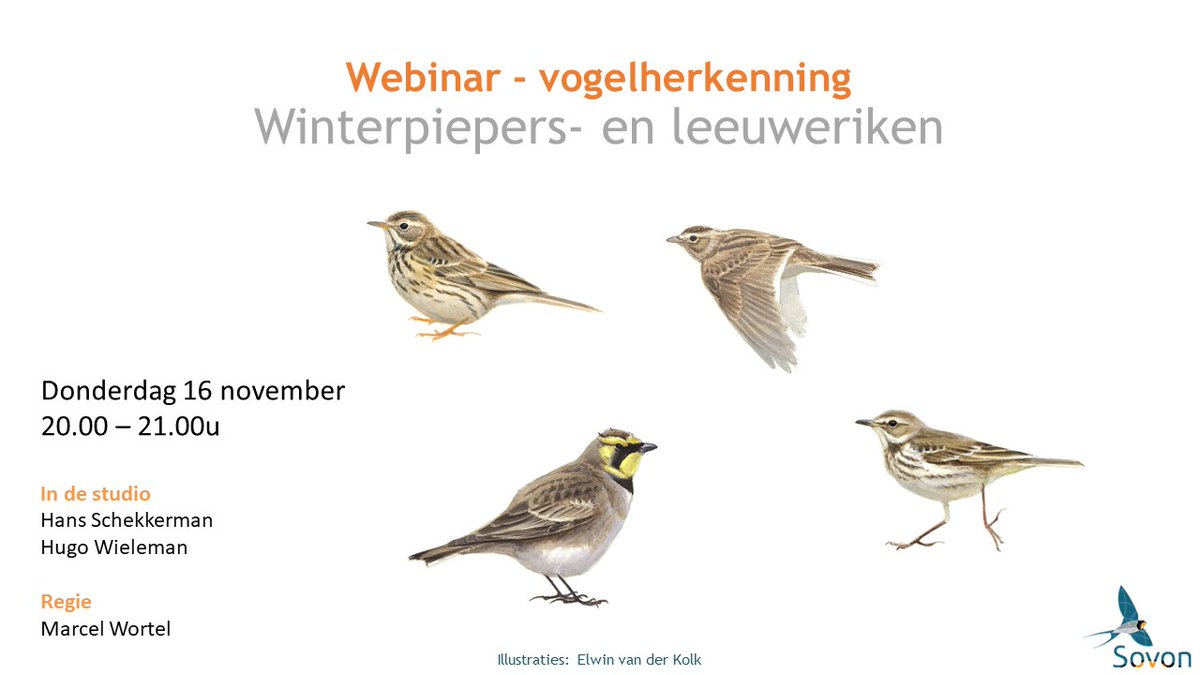 Moeite met determineren van piepers en leeuweriken? Volg gratis ons online webinar op 16 november over deze lastige vogelfamilies. Met vogelexperts Hans Schekkerman en Hugo Wieleman.
sovon.nl/actueel/agenda…
#webinar #Sovonacademie #leeuwerik #pieper