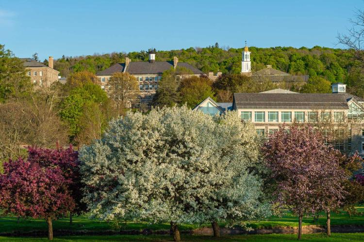 Spencer Kelly (@sdk_lab) on Twitter photo 👉 <a href="/colgateuniv/">Colgate University</a> is hiring for a tenure-stream position in (human) cognitive psychology. If you know of candidates who care equally about research and teaching, please encourage them to apply by October 13. apply.interfolio.com/132575 #AcademicJobs #HigherEdJobs <a href="/cogsci_soc/">CogSci Society</a> 👉 <a href="/colgateuniv/">Colgate University</a> is hiring for a tenure-stream position in (human) cognitive psychology. If you know of candidates who care equally about research and teaching, please encourage them to apply by October 13. apply.interfolio.com/132575 #AcademicJobs #HigherEdJobs <a href="/cogsci_soc/">CogSci Society</a>
