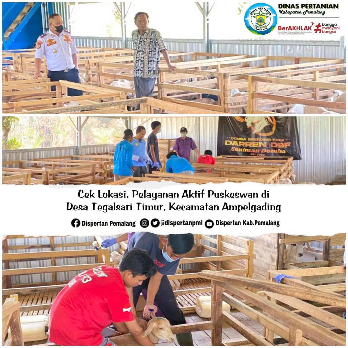 distanparikpml's tweet photo. Plt.Kepala Dinas Pertanian melaksanakan kegiatan cek lokasi kegiatan pelayanan aktif puskeswan di Desa Tegalsari Timur, Kecamatan Ampelgading.
.
.
#dispertan #peternakhebat https://t.co/0x9OuWOtwu