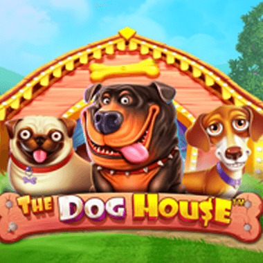 SatoshislotG's tweet photo. ๐ฎ Today, we're spotlighting the game chosen by our community. Play The Dog House - our fans' top pick! Share your scores and reviews. ๐
#CryptoGames #CommunityFavorite https://t.co/vHAw6xo5l3