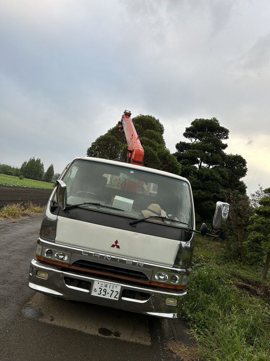 chen182sx's tweet photo. インスタにもあげましたけど、もしモチノキ欲しい方いましたら連絡ください。

引き取りのみ販売しますぅ🥹

画像は2トン車ワイドロングですぅ〜🥹 https://t.co/PqTJQ2lCgS