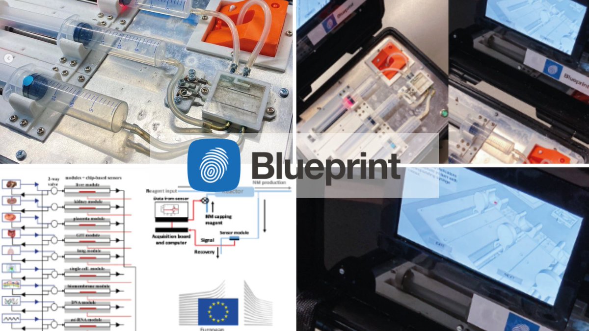 Blueprint Recognised as ‘Key Innovator’ by European Commission in the HISENTS project. 
It was noted that Blueprint went above and beyond the brief, identifying and engaging with actual customers who indicated their interest in purchasing the product when it was market ready.
