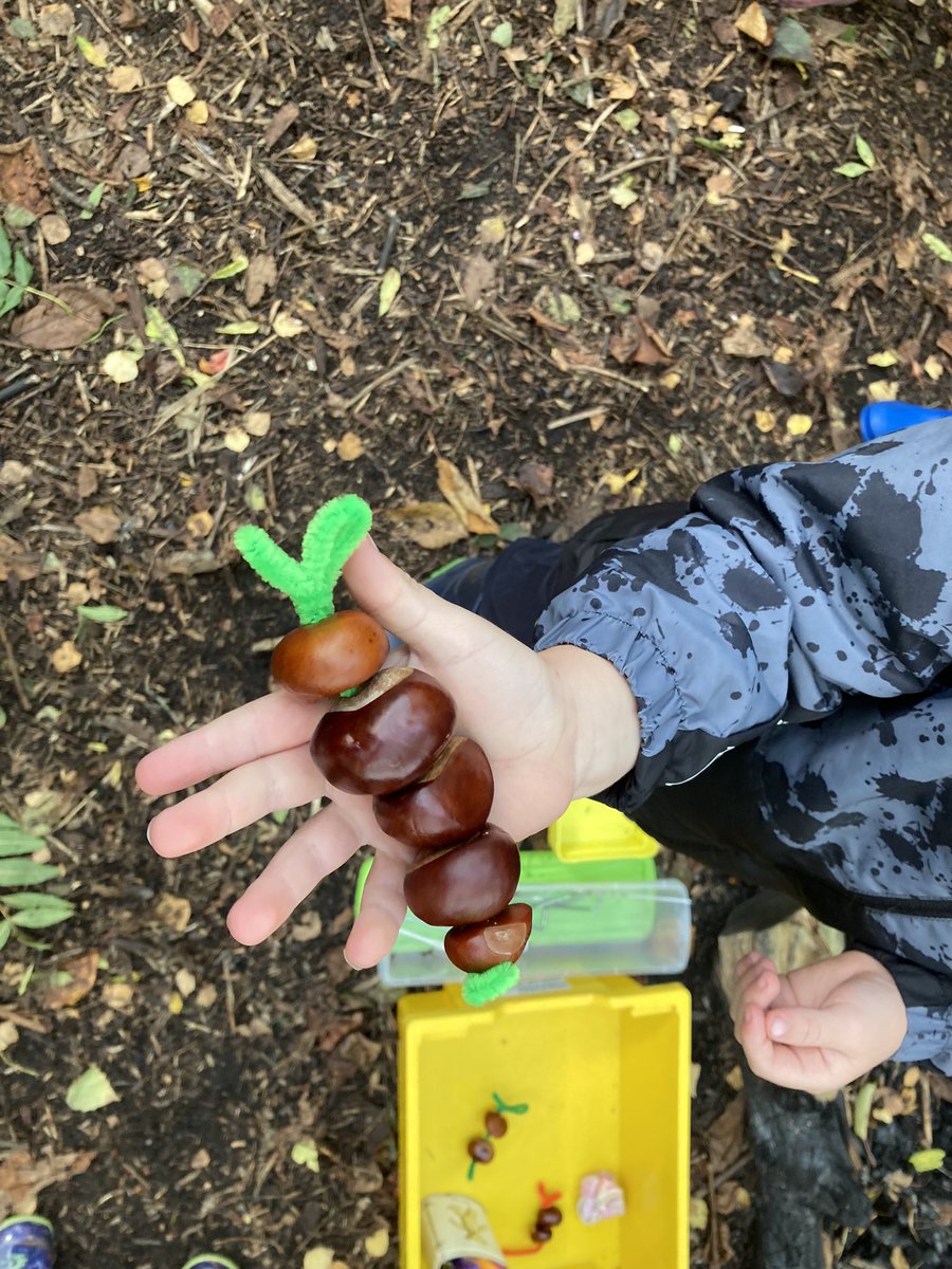 Year 1 using palm drills to make conker caterpillars and jewellery. #outdoorlearning #DreamPlanAchieve