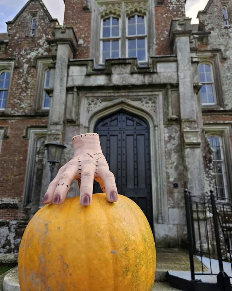 Our new pumpkin patch is almost ready here at Wells for our new Halloween Experience that starts on October 21st! To book your tickets & T&Cs visit wellshouse.ie/halloween-trai…