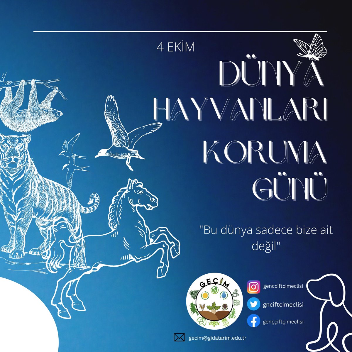 4 Ekim Dünya Hayvanları Koruma Günü Kutlu Olsun.
"Bu dünya sadece bize ait değil!"